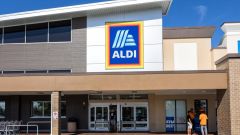 Planter Valentine's Aldi Plants Day Mushroom