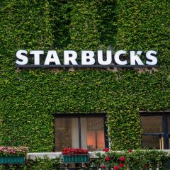 Matcha Cup Starbucks Ounces Glass Mug