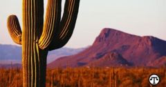 Saguaro National Park Parks National Parks Year Tumac Aacute Cori National Store